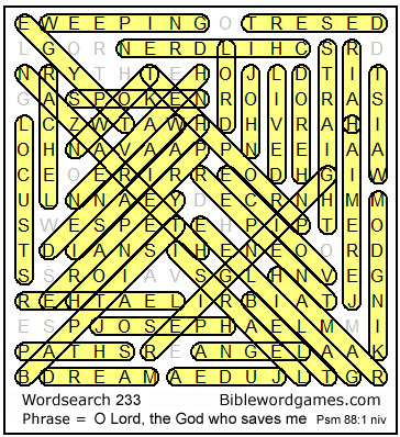Bible wordsearch puzzle solution